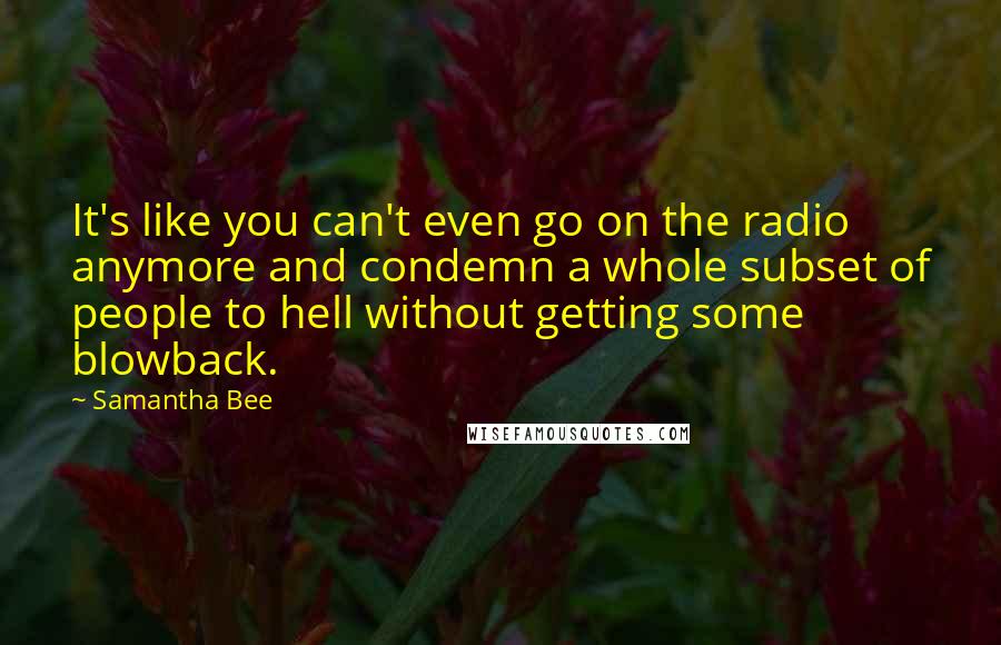 Samantha Bee Quotes: It's like you can't even go on the radio anymore and condemn a whole subset of people to hell without getting some blowback.