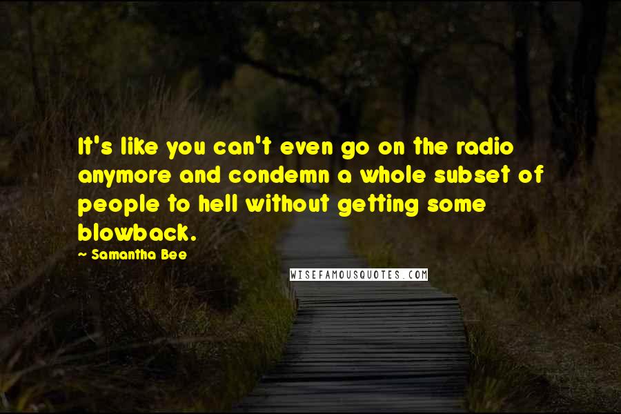 Samantha Bee Quotes: It's like you can't even go on the radio anymore and condemn a whole subset of people to hell without getting some blowback.