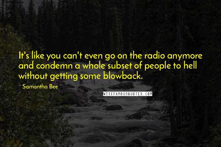 Samantha Bee Quotes: It's like you can't even go on the radio anymore and condemn a whole subset of people to hell without getting some blowback.