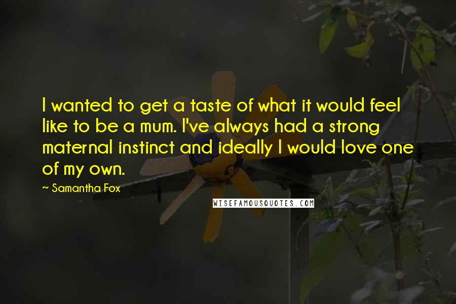 Samantha Fox Quotes: I wanted to get a taste of what it would feel like to be a mum. I've always had a strong maternal instinct and ideally I would love one of my own.