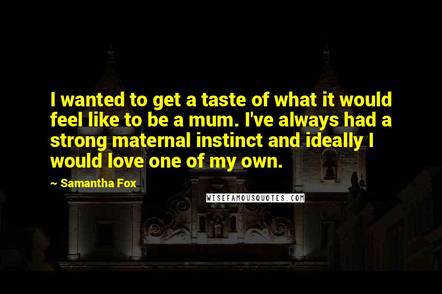 Samantha Fox Quotes: I wanted to get a taste of what it would feel like to be a mum. I've always had a strong maternal instinct and ideally I would love one of my own.