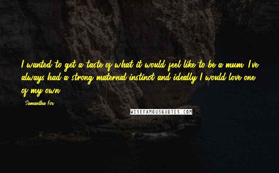 Samantha Fox Quotes: I wanted to get a taste of what it would feel like to be a mum. I've always had a strong maternal instinct and ideally I would love one of my own.