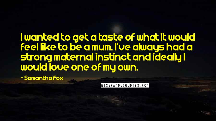 Samantha Fox Quotes: I wanted to get a taste of what it would feel like to be a mum. I've always had a strong maternal instinct and ideally I would love one of my own.