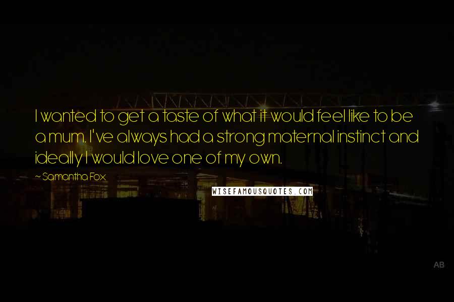 Samantha Fox Quotes: I wanted to get a taste of what it would feel like to be a mum. I've always had a strong maternal instinct and ideally I would love one of my own.
