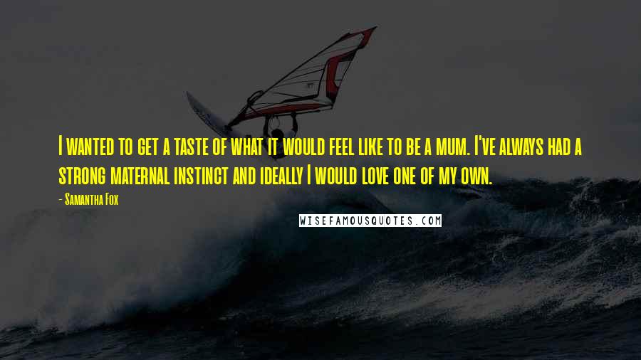 Samantha Fox Quotes: I wanted to get a taste of what it would feel like to be a mum. I've always had a strong maternal instinct and ideally I would love one of my own.