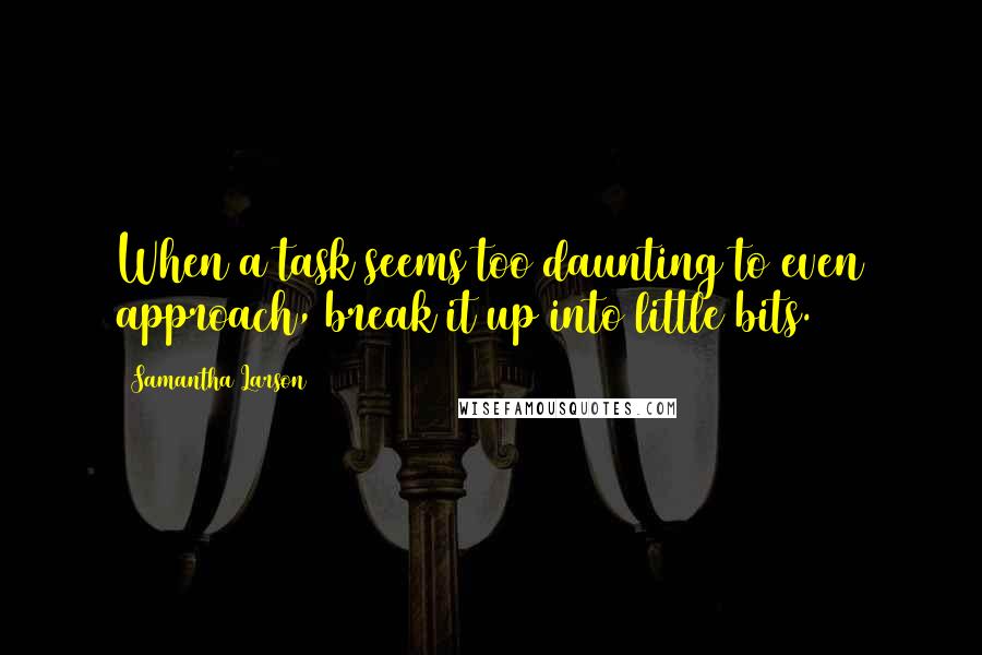 Samantha Larson Quotes: When a task seems too daunting to even approach, break it up into little bits.