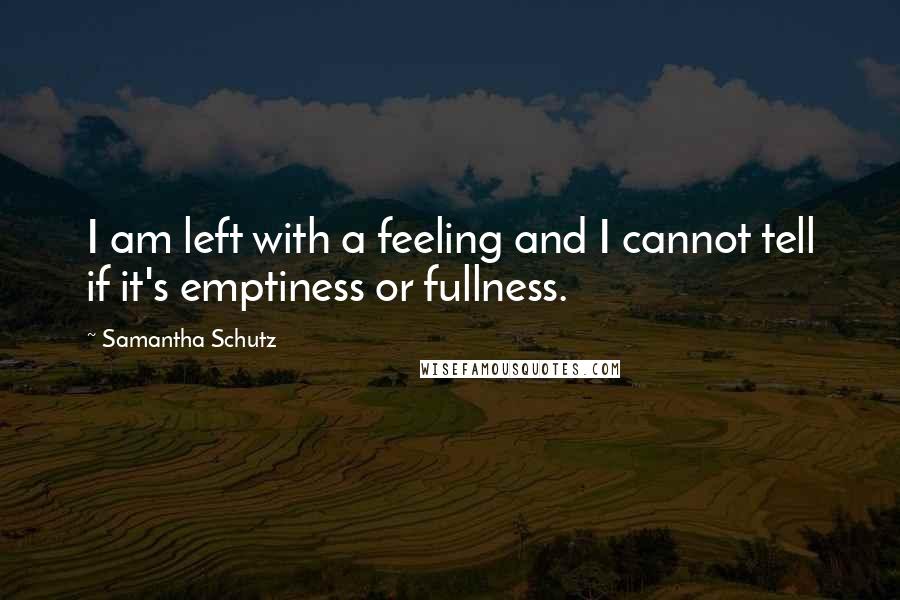 Samantha Schutz Quotes: I am left with a feeling and I cannot tell if it's emptiness or fullness.