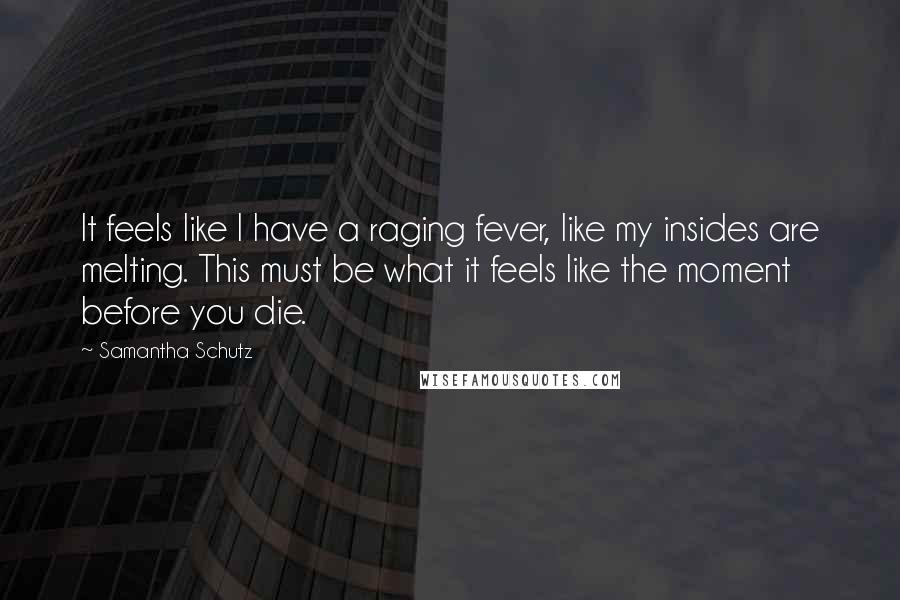 Samantha Schutz Quotes: It feels like I have a raging fever, like my insides are melting. This must be what it feels like the moment before you die.