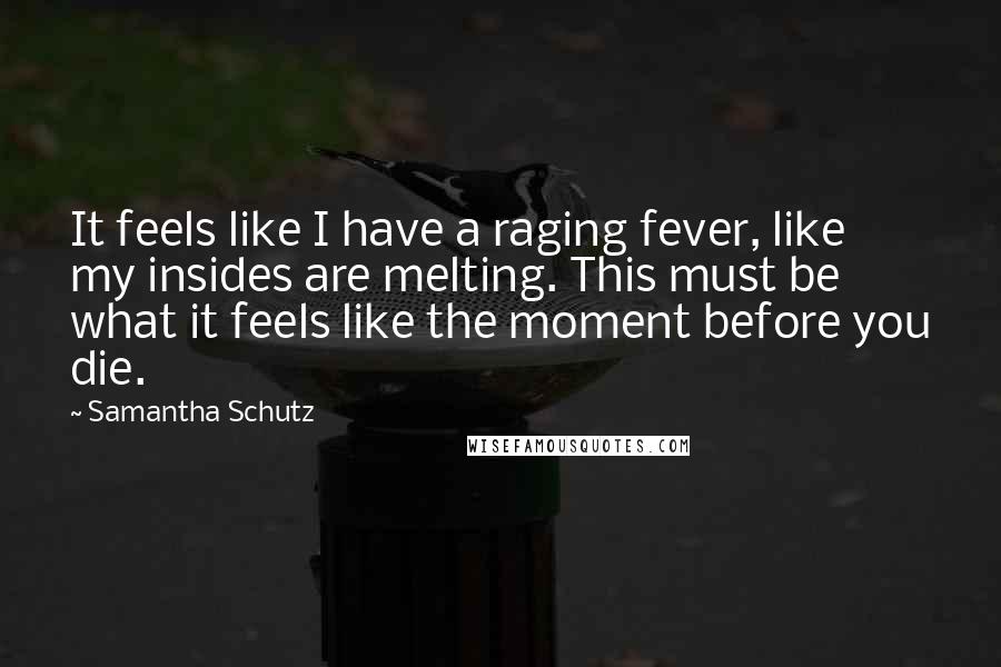 Samantha Schutz Quotes: It feels like I have a raging fever, like my insides are melting. This must be what it feels like the moment before you die.
