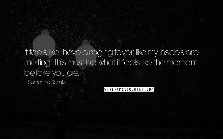 Samantha Schutz Quotes: It feels like I have a raging fever, like my insides are melting. This must be what it feels like the moment before you die.