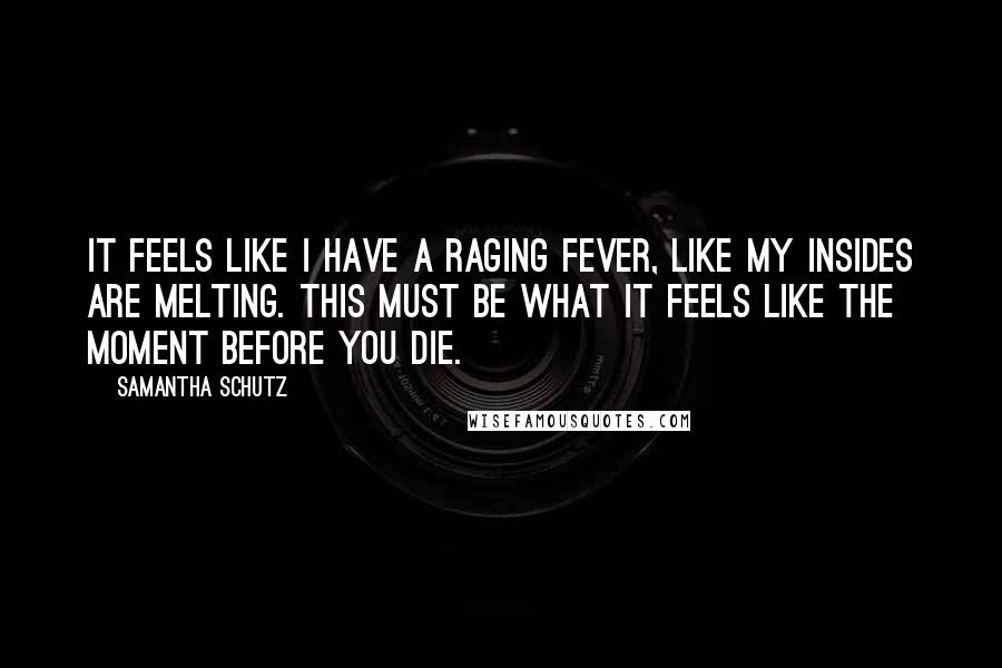 Samantha Schutz Quotes: It feels like I have a raging fever, like my insides are melting. This must be what it feels like the moment before you die.