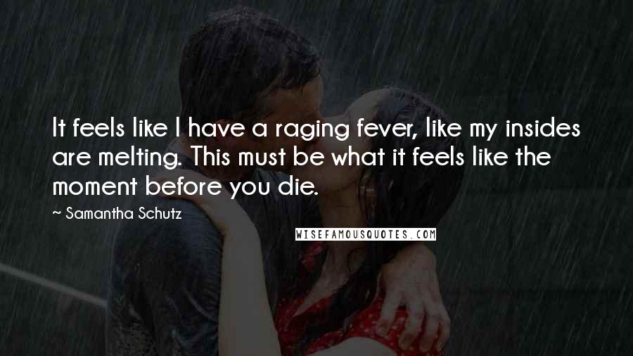 Samantha Schutz Quotes: It feels like I have a raging fever, like my insides are melting. This must be what it feels like the moment before you die.