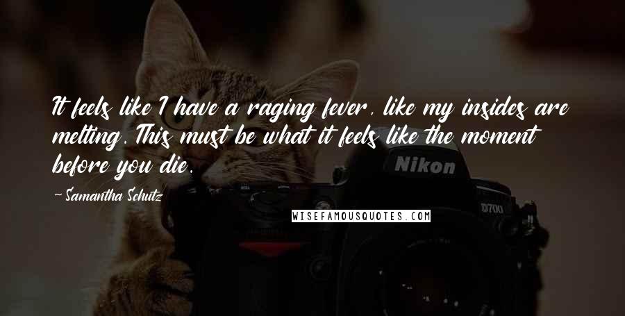 Samantha Schutz Quotes: It feels like I have a raging fever, like my insides are melting. This must be what it feels like the moment before you die.