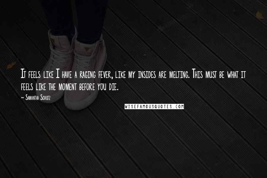 Samantha Schutz Quotes: It feels like I have a raging fever, like my insides are melting. This must be what it feels like the moment before you die.
