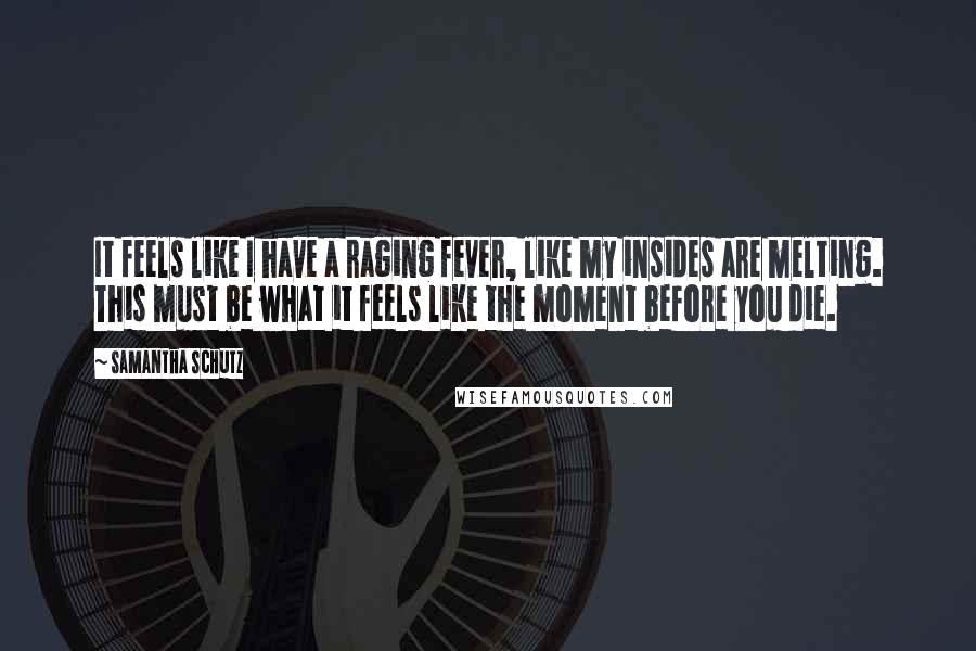 Samantha Schutz Quotes: It feels like I have a raging fever, like my insides are melting. This must be what it feels like the moment before you die.