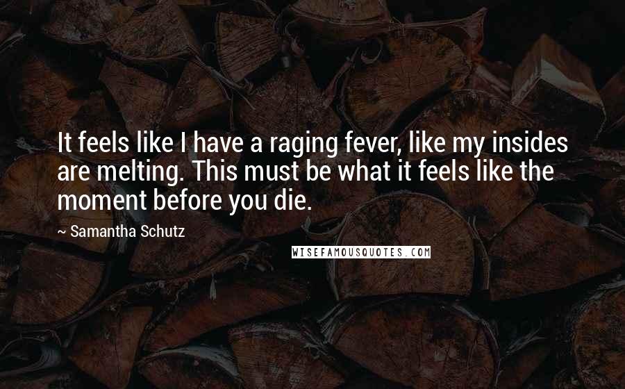 Samantha Schutz Quotes: It feels like I have a raging fever, like my insides are melting. This must be what it feels like the moment before you die.