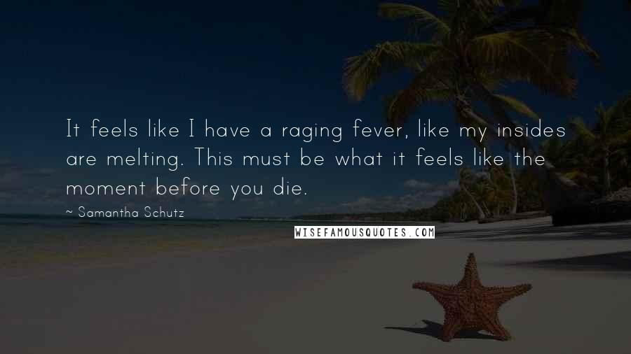 Samantha Schutz Quotes: It feels like I have a raging fever, like my insides are melting. This must be what it feels like the moment before you die.