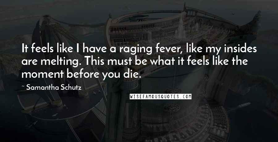 Samantha Schutz Quotes: It feels like I have a raging fever, like my insides are melting. This must be what it feels like the moment before you die.