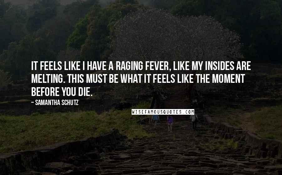 Samantha Schutz Quotes: It feels like I have a raging fever, like my insides are melting. This must be what it feels like the moment before you die.