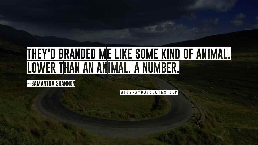 Samantha Shannon Quotes: They'd branded me like some kind of animal. Lower than an animal. A number.