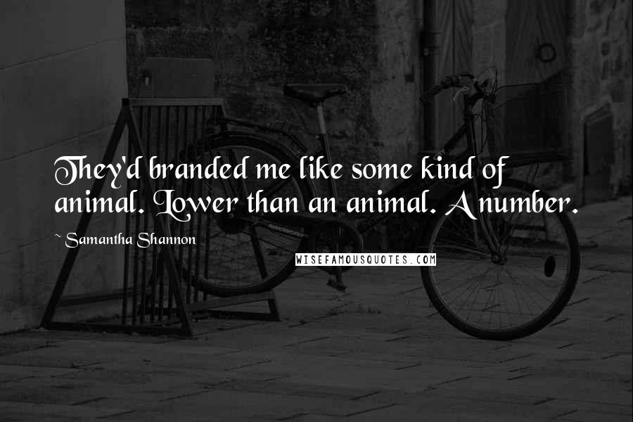 Samantha Shannon Quotes: They'd branded me like some kind of animal. Lower than an animal. A number.