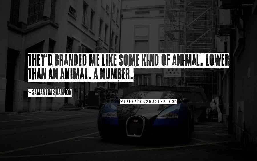 Samantha Shannon Quotes: They'd branded me like some kind of animal. Lower than an animal. A number.