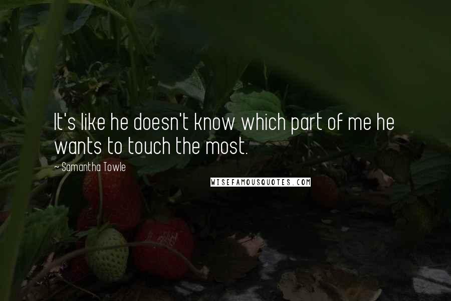 Samantha Towle Quotes: It's like he doesn't know which part of me he wants to touch the most.