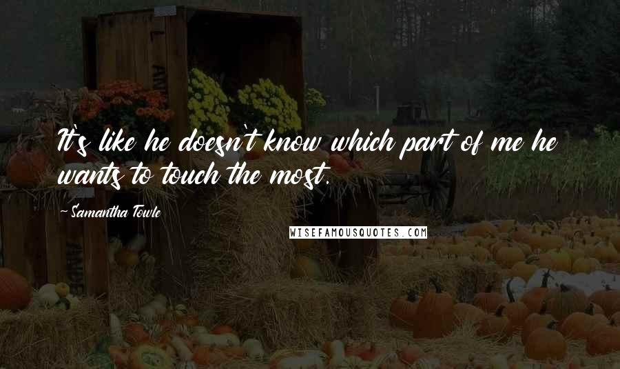 Samantha Towle Quotes: It's like he doesn't know which part of me he wants to touch the most.