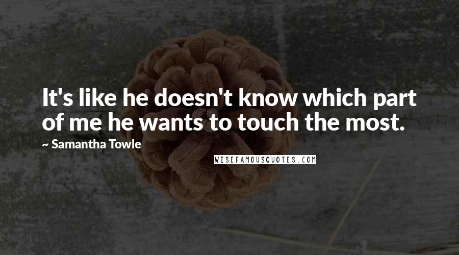 Samantha Towle Quotes: It's like he doesn't know which part of me he wants to touch the most.