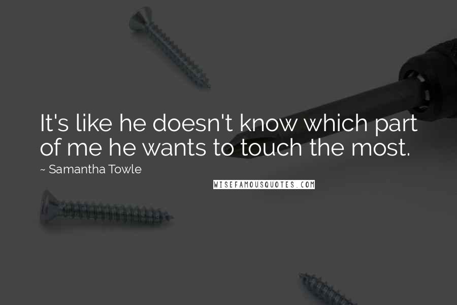 Samantha Towle Quotes: It's like he doesn't know which part of me he wants to touch the most.