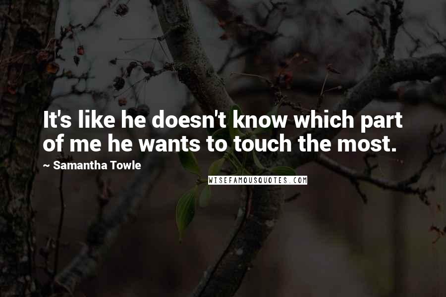 Samantha Towle Quotes: It's like he doesn't know which part of me he wants to touch the most.