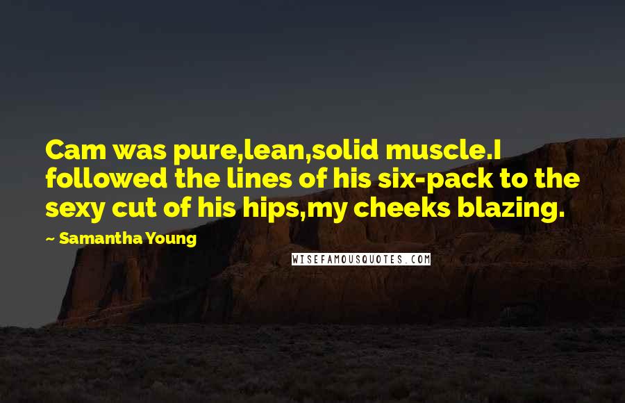 Samantha Young Quotes: Cam was pure,lean,solid muscle.I followed the lines of his six-pack to the sexy cut of his hips,my cheeks blazing.