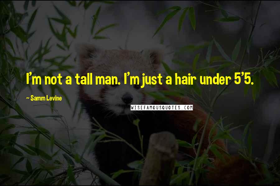 Samm Levine Quotes: I'm not a tall man. I'm just a hair under 5'5.