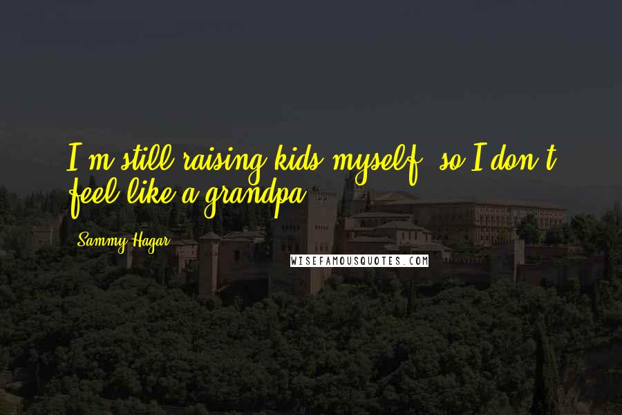 Sammy Hagar Quotes: I'm still raising kids myself, so I don't feel like a grandpa.
