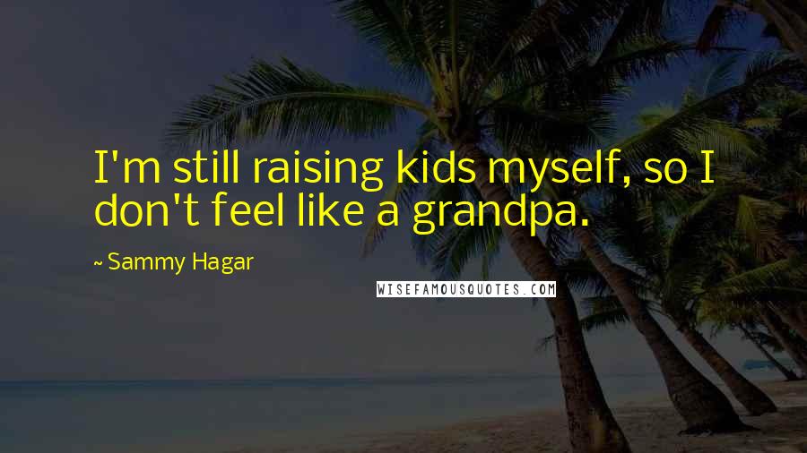 Sammy Hagar Quotes: I'm still raising kids myself, so I don't feel like a grandpa.