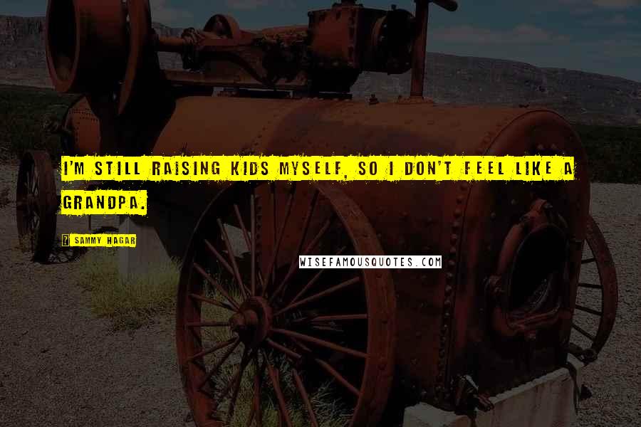Sammy Hagar Quotes: I'm still raising kids myself, so I don't feel like a grandpa.