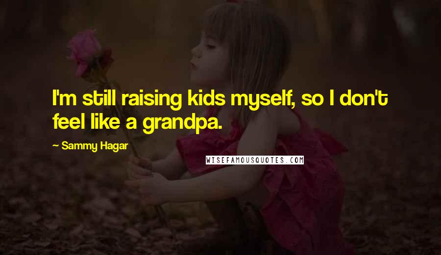 Sammy Hagar Quotes: I'm still raising kids myself, so I don't feel like a grandpa.