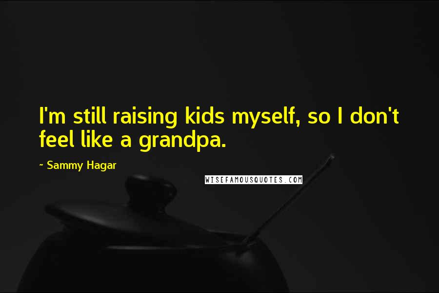 Sammy Hagar Quotes: I'm still raising kids myself, so I don't feel like a grandpa.