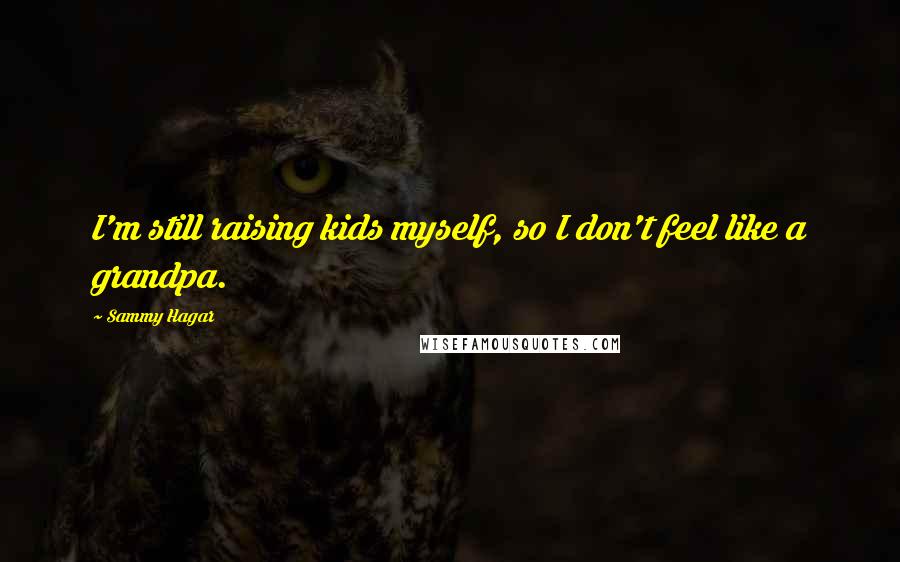 Sammy Hagar Quotes: I'm still raising kids myself, so I don't feel like a grandpa.