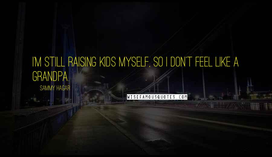 Sammy Hagar Quotes: I'm still raising kids myself, so I don't feel like a grandpa.