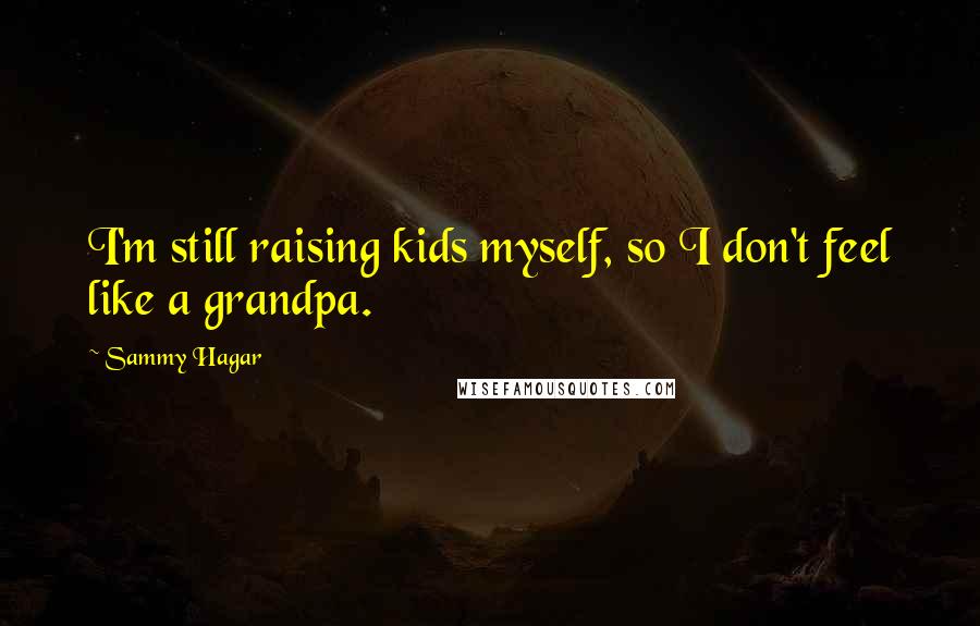 Sammy Hagar Quotes: I'm still raising kids myself, so I don't feel like a grandpa.