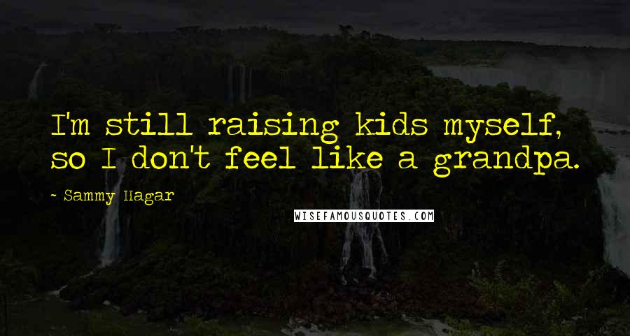 Sammy Hagar Quotes: I'm still raising kids myself, so I don't feel like a grandpa.