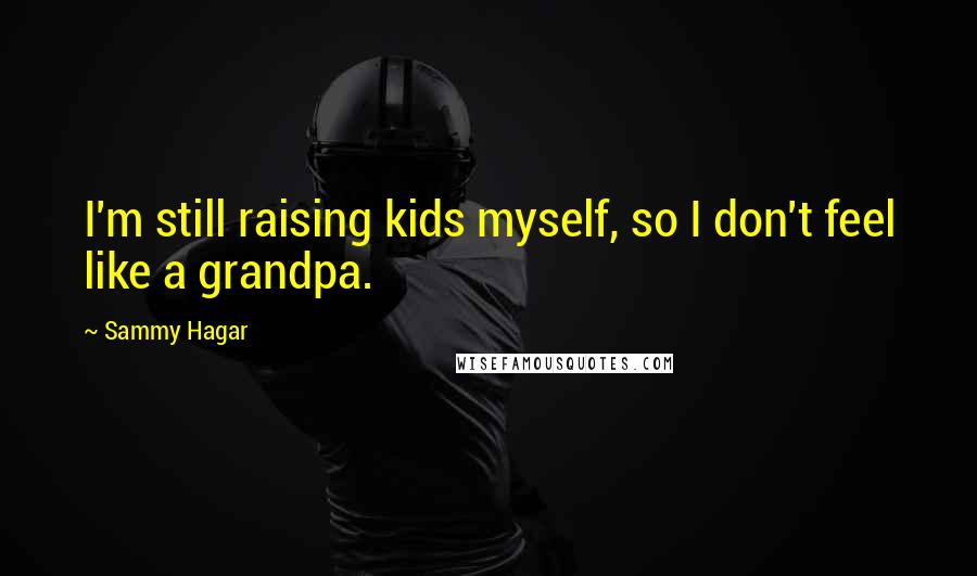 Sammy Hagar Quotes: I'm still raising kids myself, so I don't feel like a grandpa.