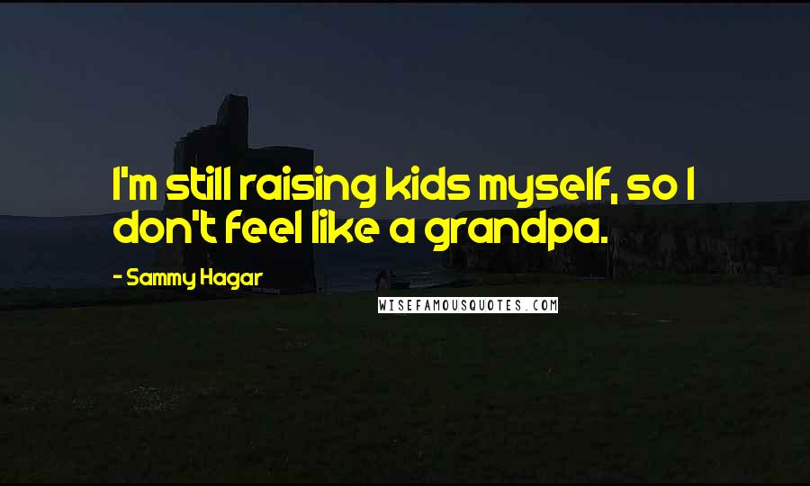 Sammy Hagar Quotes: I'm still raising kids myself, so I don't feel like a grandpa.
