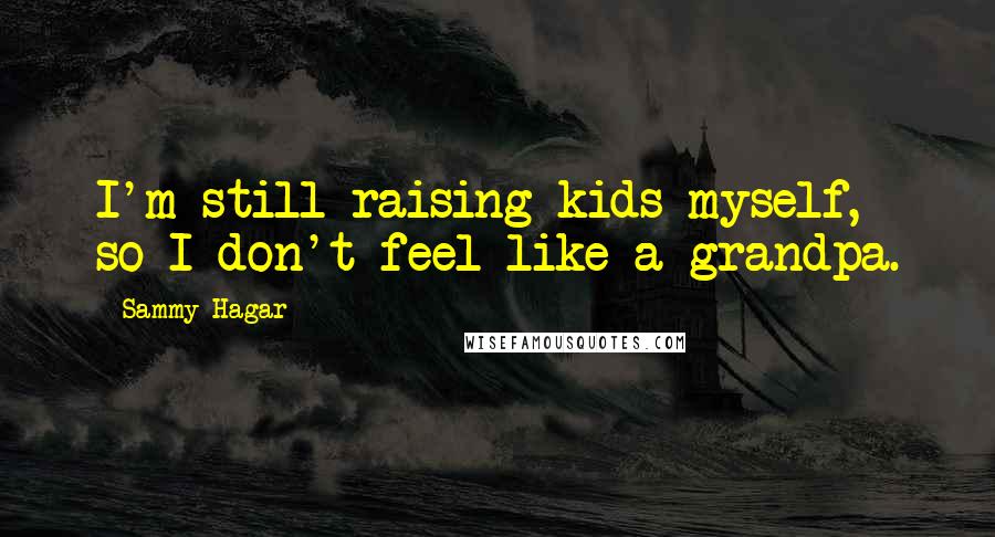 Sammy Hagar Quotes: I'm still raising kids myself, so I don't feel like a grandpa.