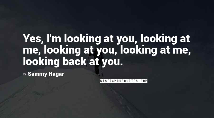 Sammy Hagar Quotes: Yes, I'm looking at you, looking at me, looking at you, looking at me, looking back at you.