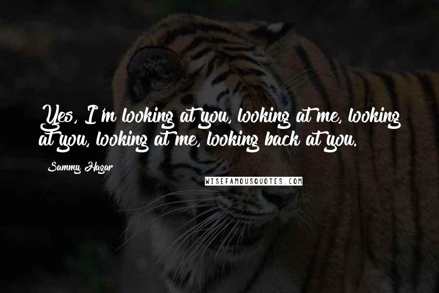 Sammy Hagar Quotes: Yes, I'm looking at you, looking at me, looking at you, looking at me, looking back at you.