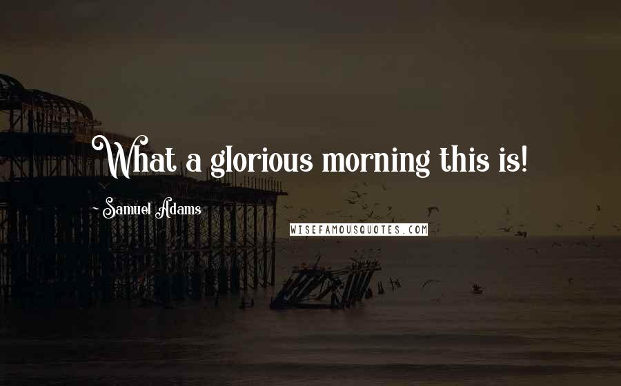 Samuel Adams Quotes: What a glorious morning this is!