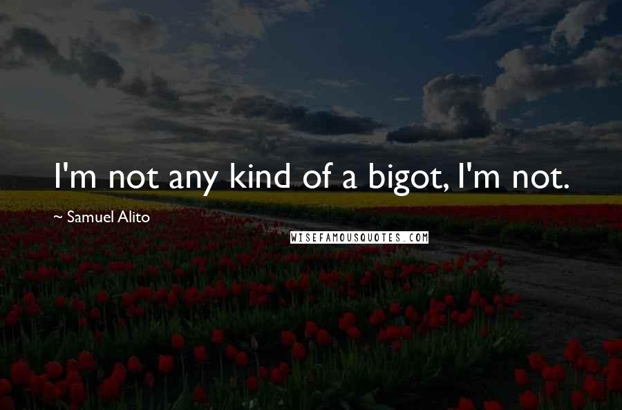 Samuel Alito Quotes: I'm not any kind of a bigot, I'm not.