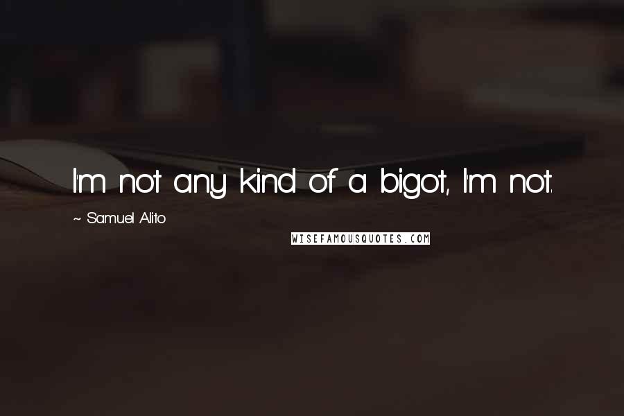 Samuel Alito Quotes: I'm not any kind of a bigot, I'm not.